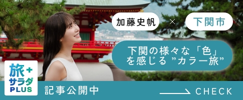 旅サラダPLUS